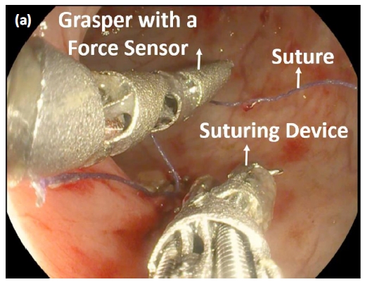 An Integrated Sensor-Model Approach for Haptic Feedback of Flexible Endoscopic Robots